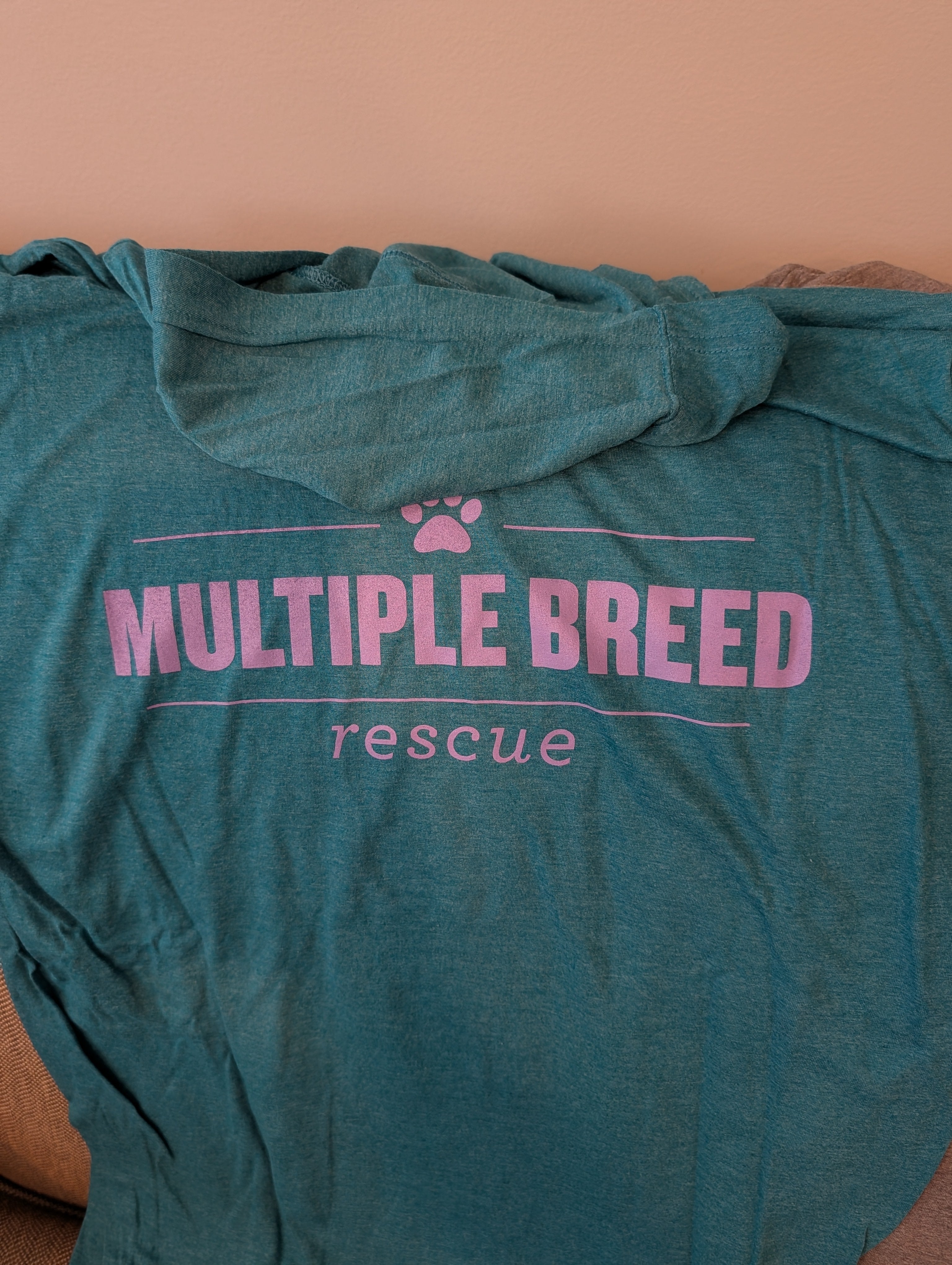 Unisex light weight hoodie - Volunteer Foster Adopt